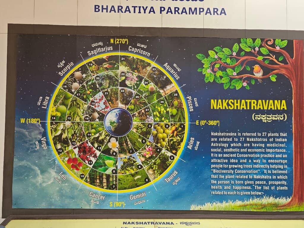 Taxidermied Wildlife Gallery