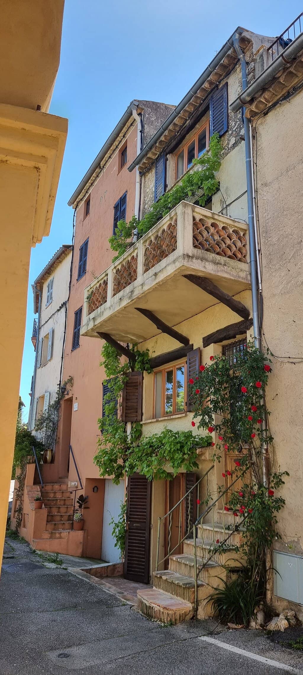 Vertical photo