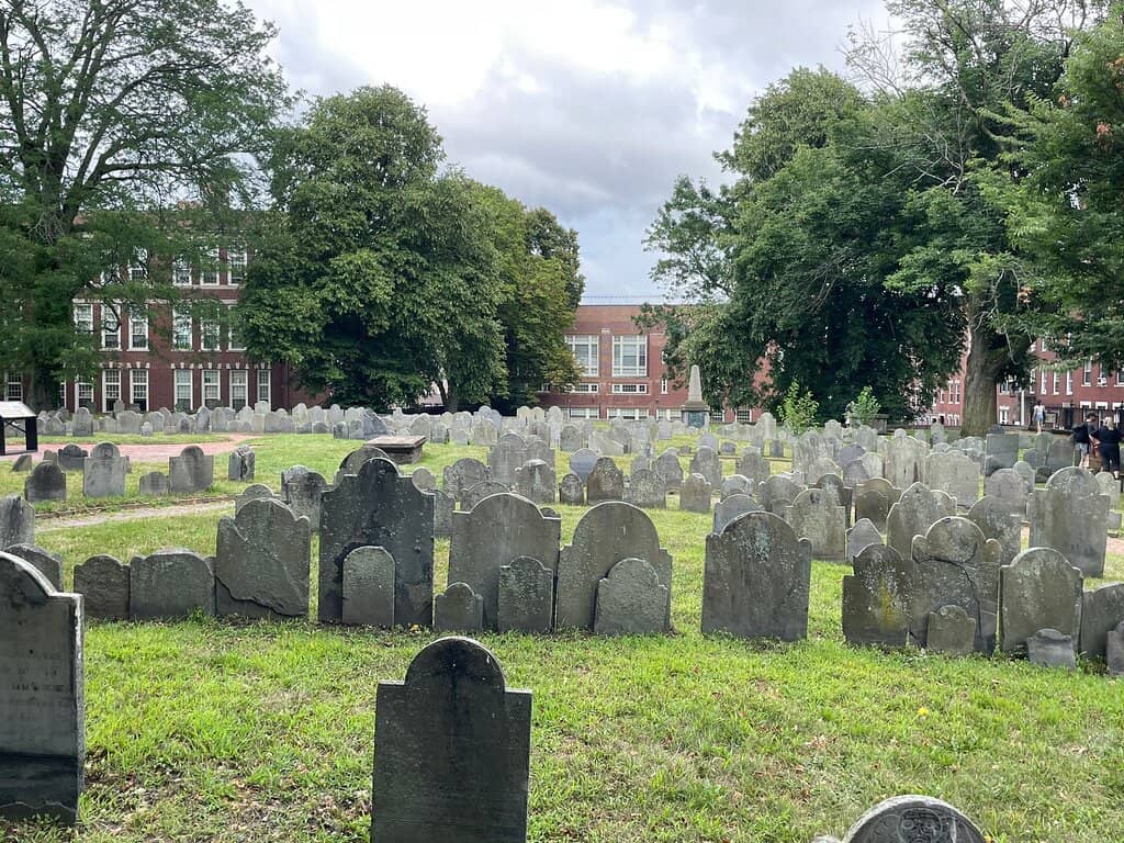 Panoramic City Views