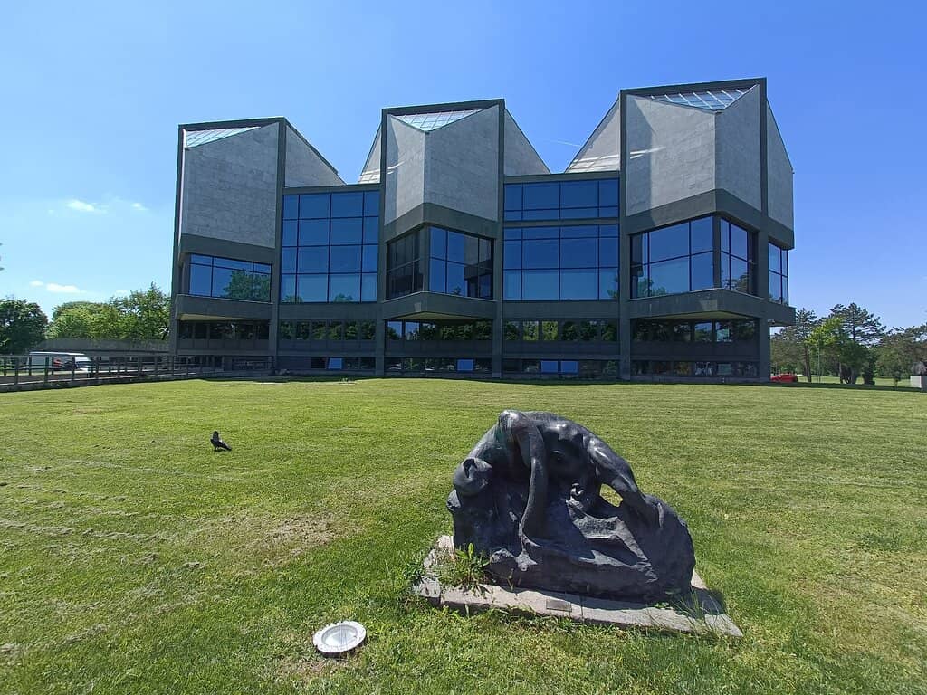 Ana Vidjen Retrospective