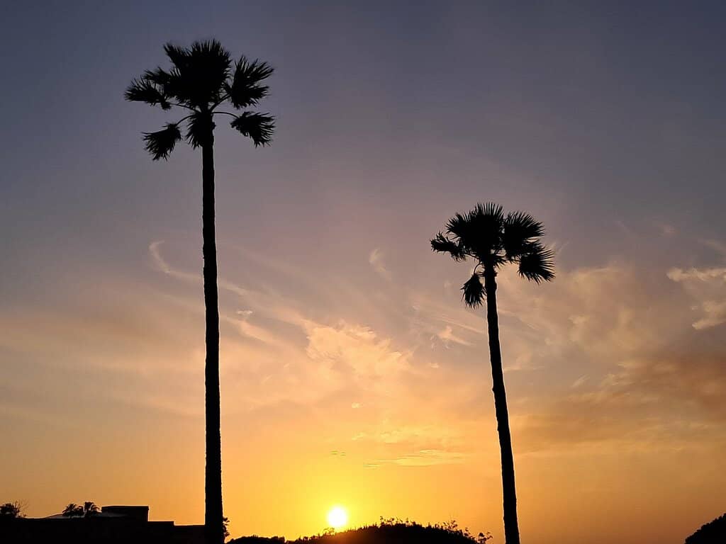 Sunset Views