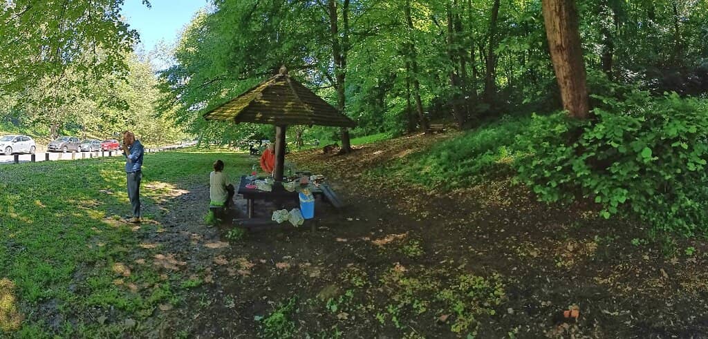 Ancient Trees & Seasonal Beauty