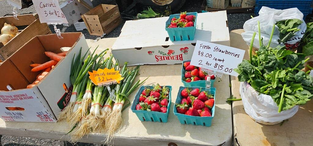 Artisanal Breads & Baked Goods