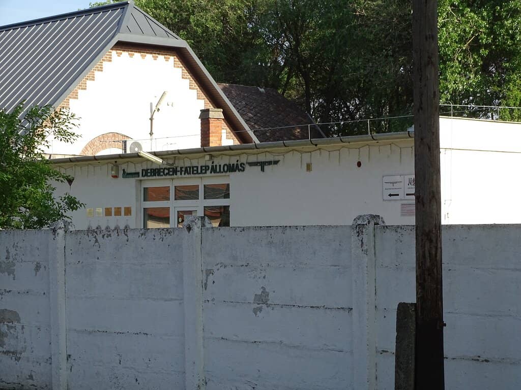 Scenic Forest Train Ride