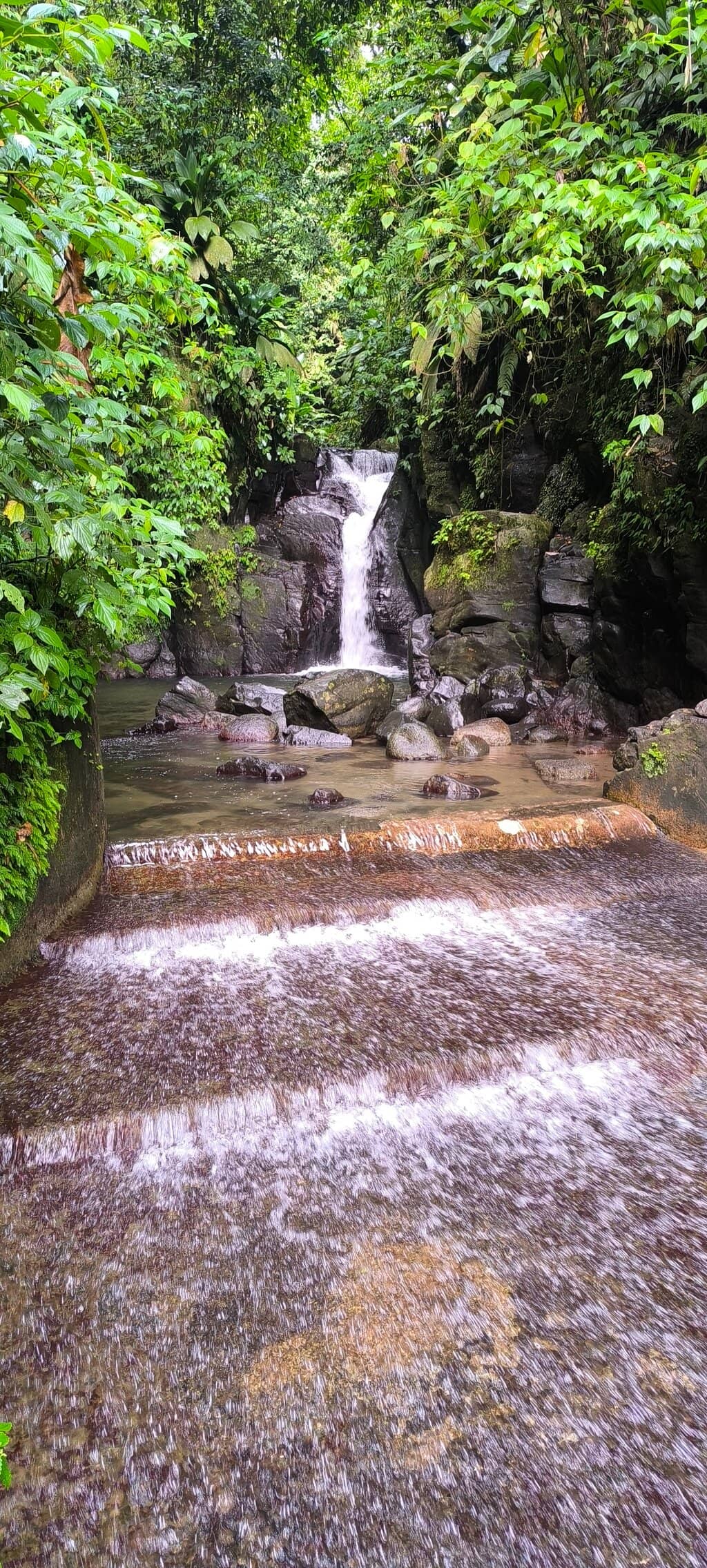 Vertical photo