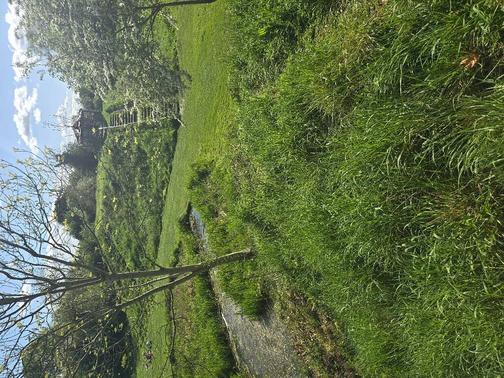 The Moated Grounds