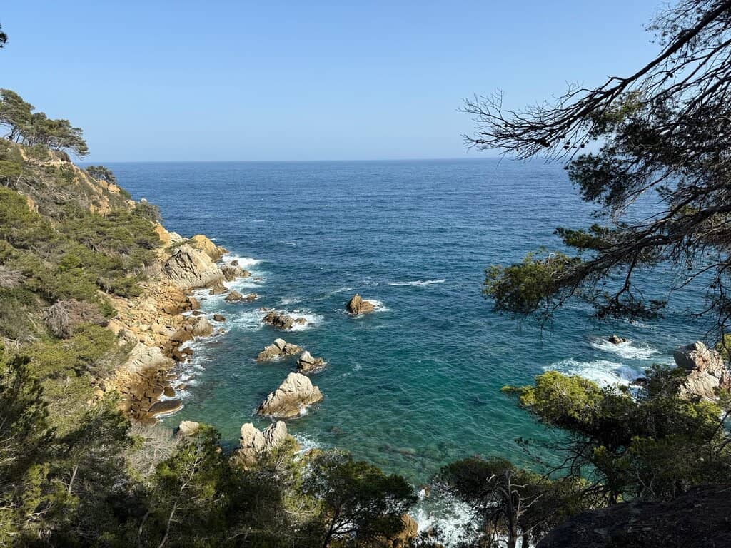 Clear Waters & Marine Life