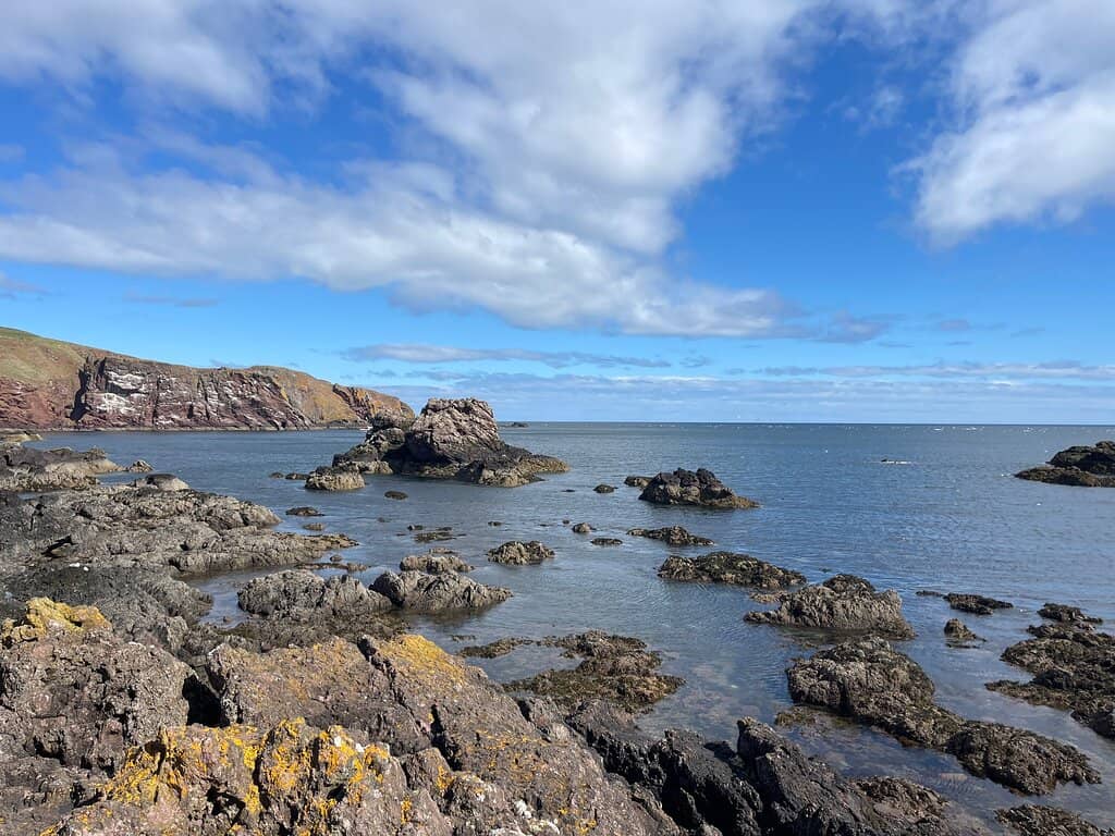 Coastal Telescope Views