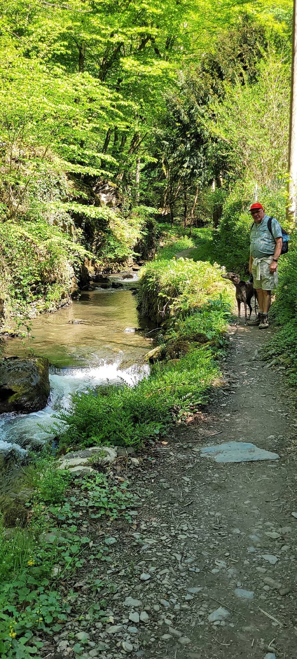 Göbelsmühle Hike