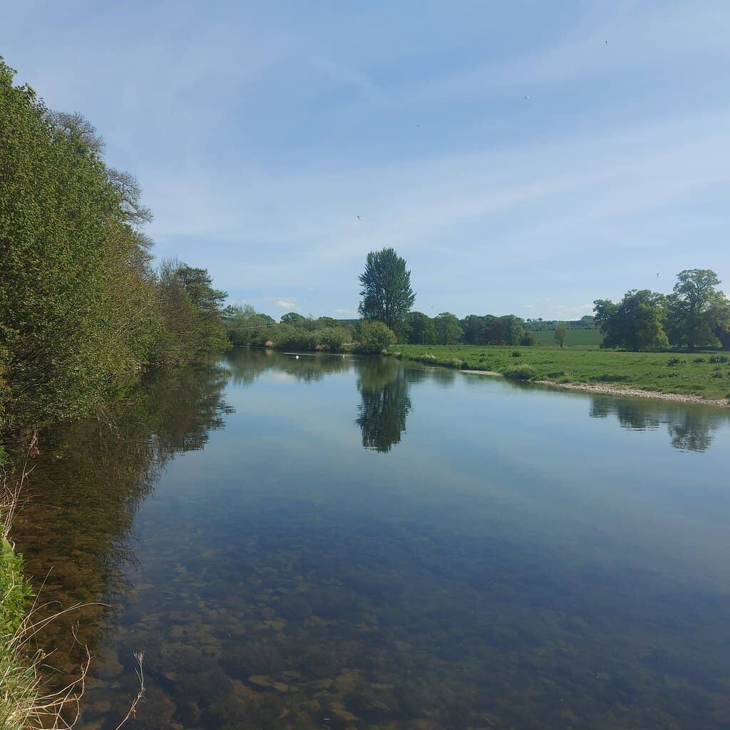 Peaceful River Views