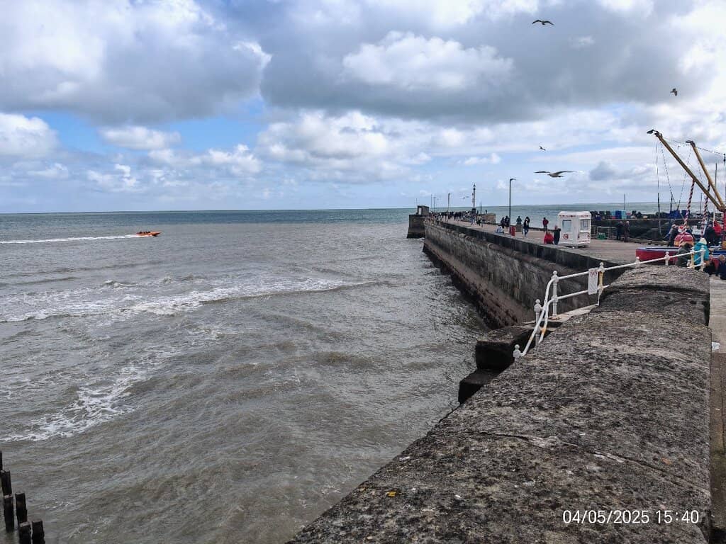 Bempton Cliffs Boat Trips