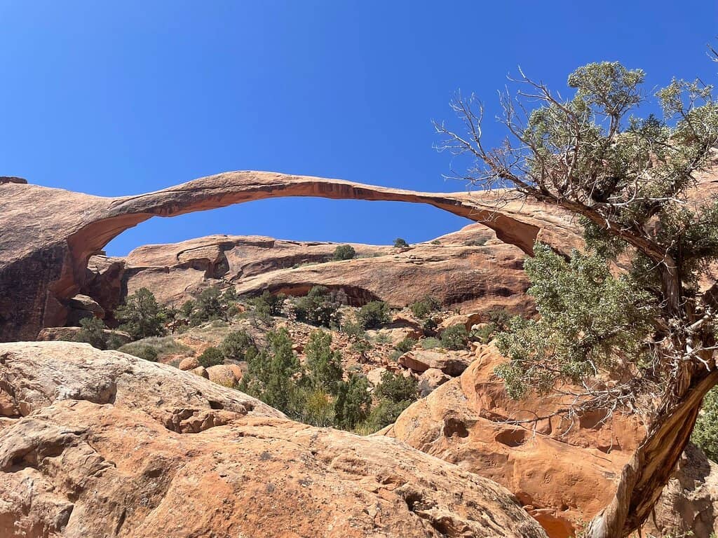 Tunnel Arch & Pine Tree Arch