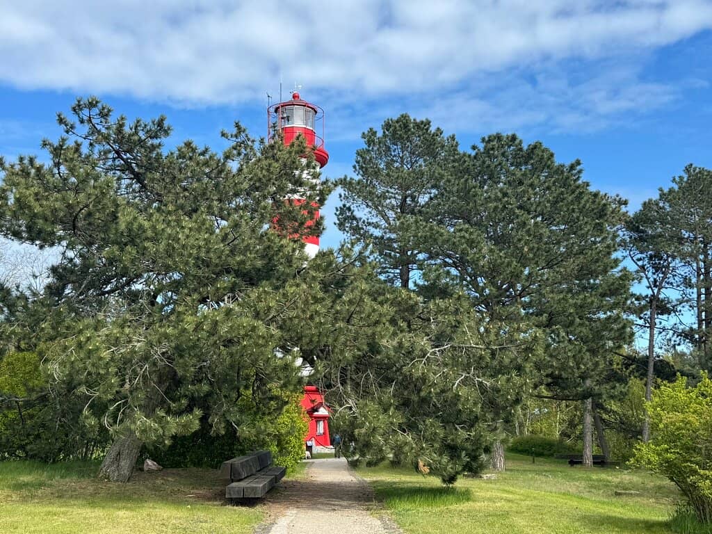 Vertical photo