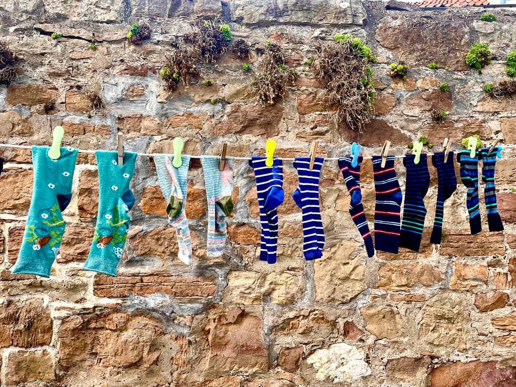 Local Life & Architecture