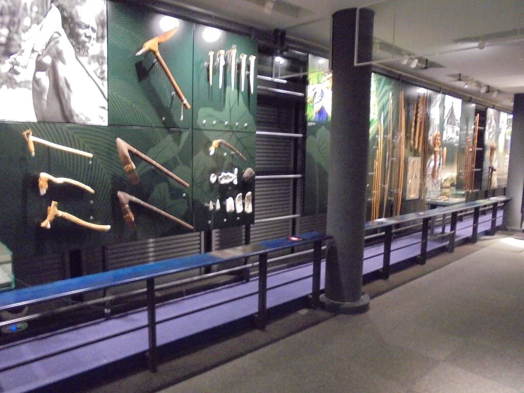 Okinawa's Beautiful Stars