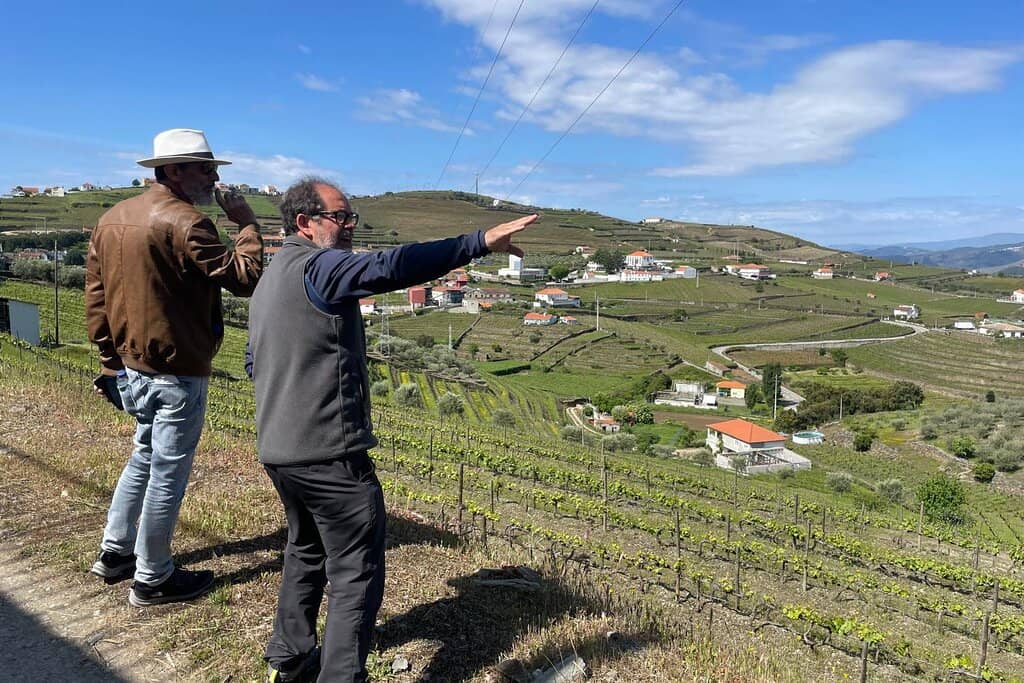 Surrounding Douro Countryside