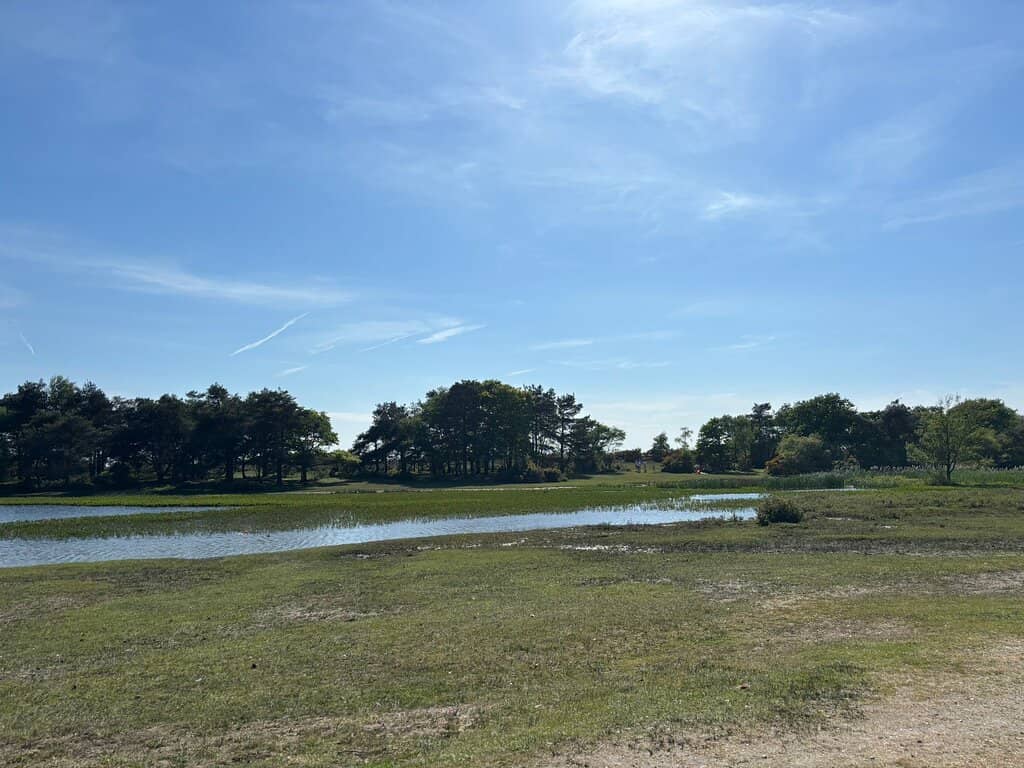 Peaceful Nature Walks