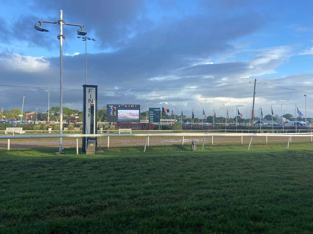 Boxing Day Races