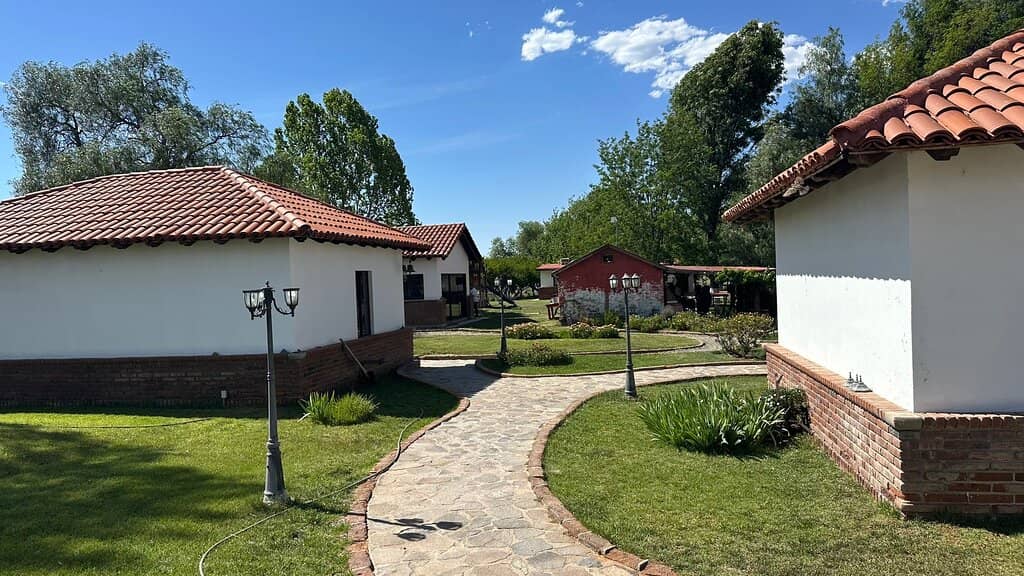 Artisanal Cheese Tasting