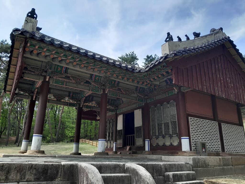 Vast and Dense Forest