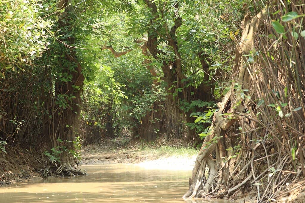 Biodiversity Spotting