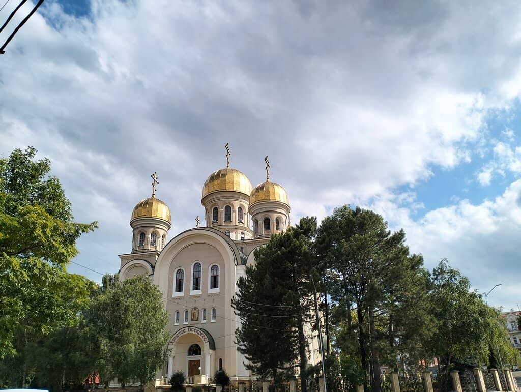 Beautiful Rose Garden