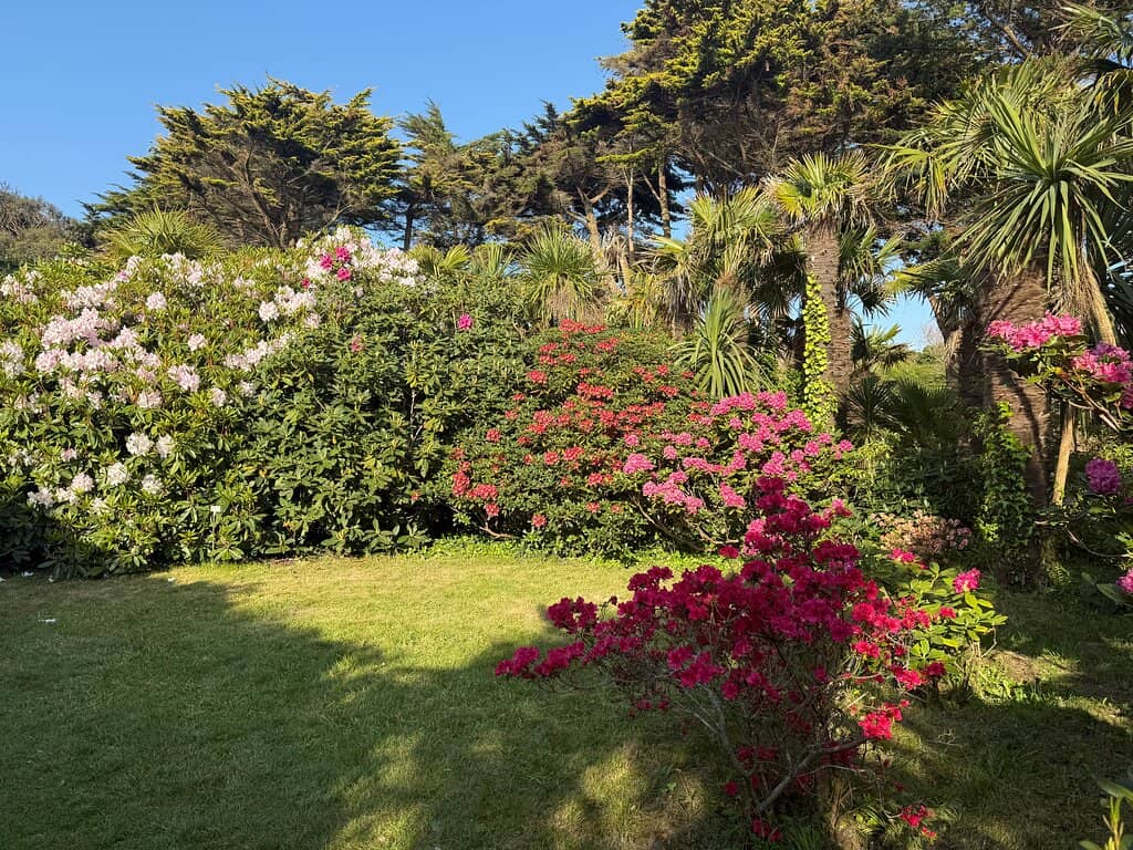 Vast Hydrangea Collection