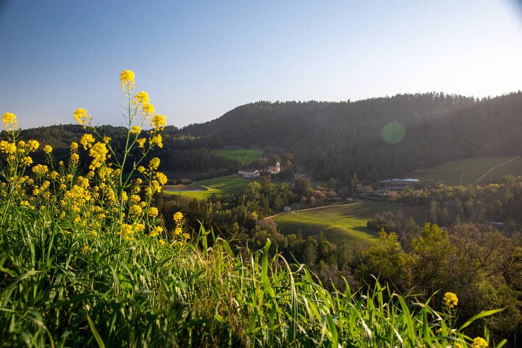 World-Class Art Collection