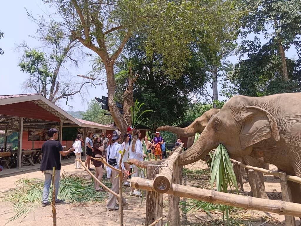 Bathing in the River
