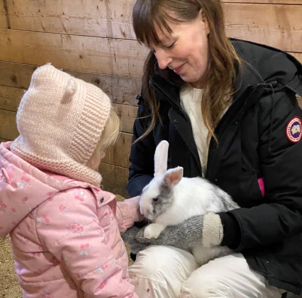 Cozy Campfire & Hot Chocolate