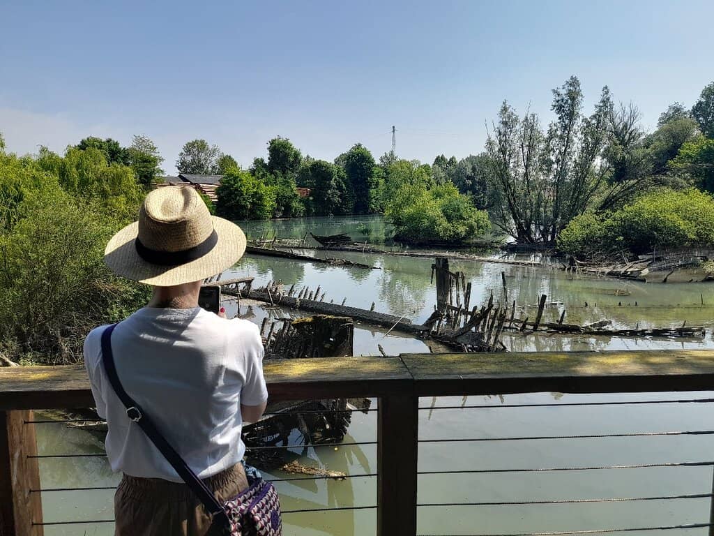 Riverside Walking Path
