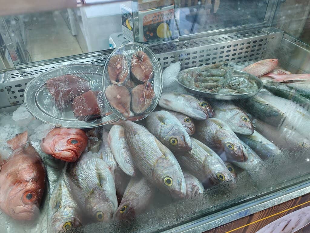 Diverse Seafood Selection