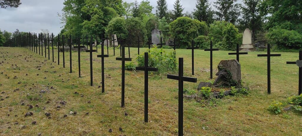 Serene Park-like Atmosphere