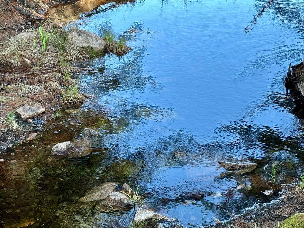 Witch Hole Pond Carriage Road Loop