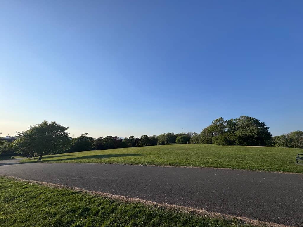 Playground & Skate Park