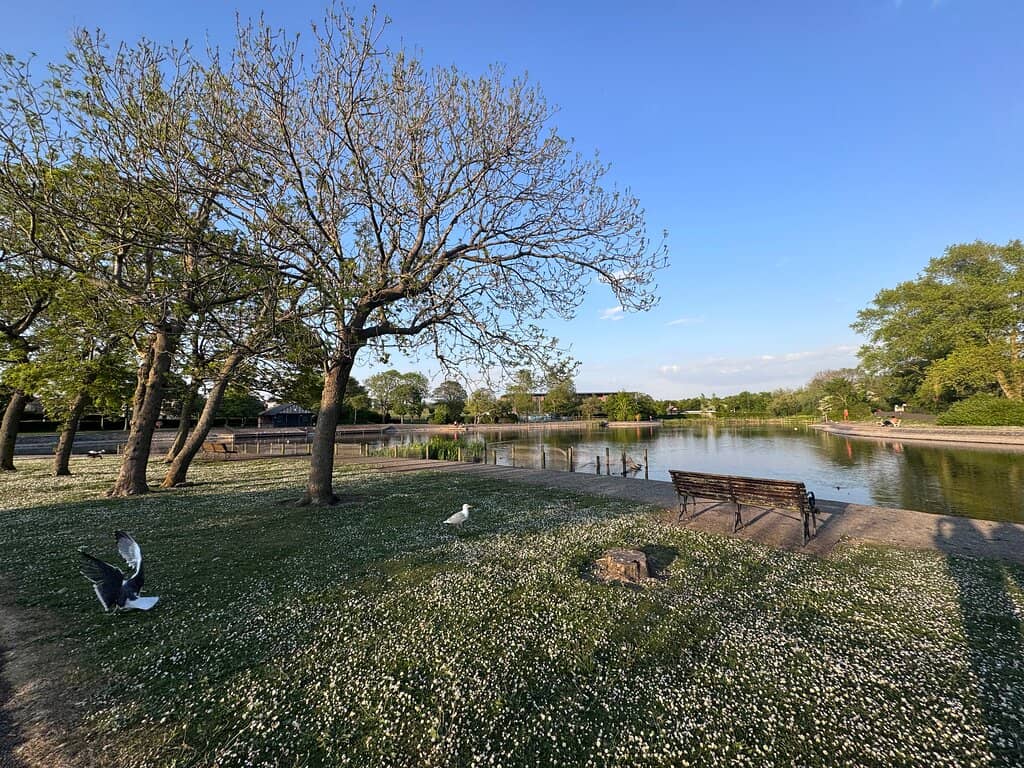 Gardens and Green Spaces