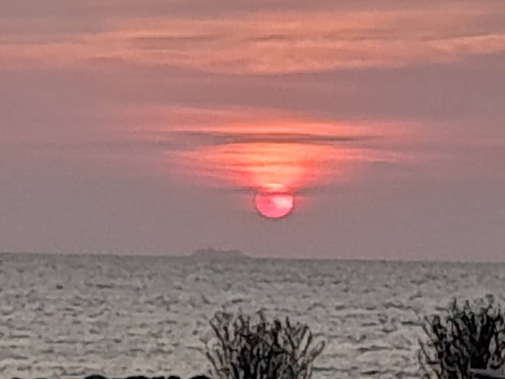 Gastronomic Delights