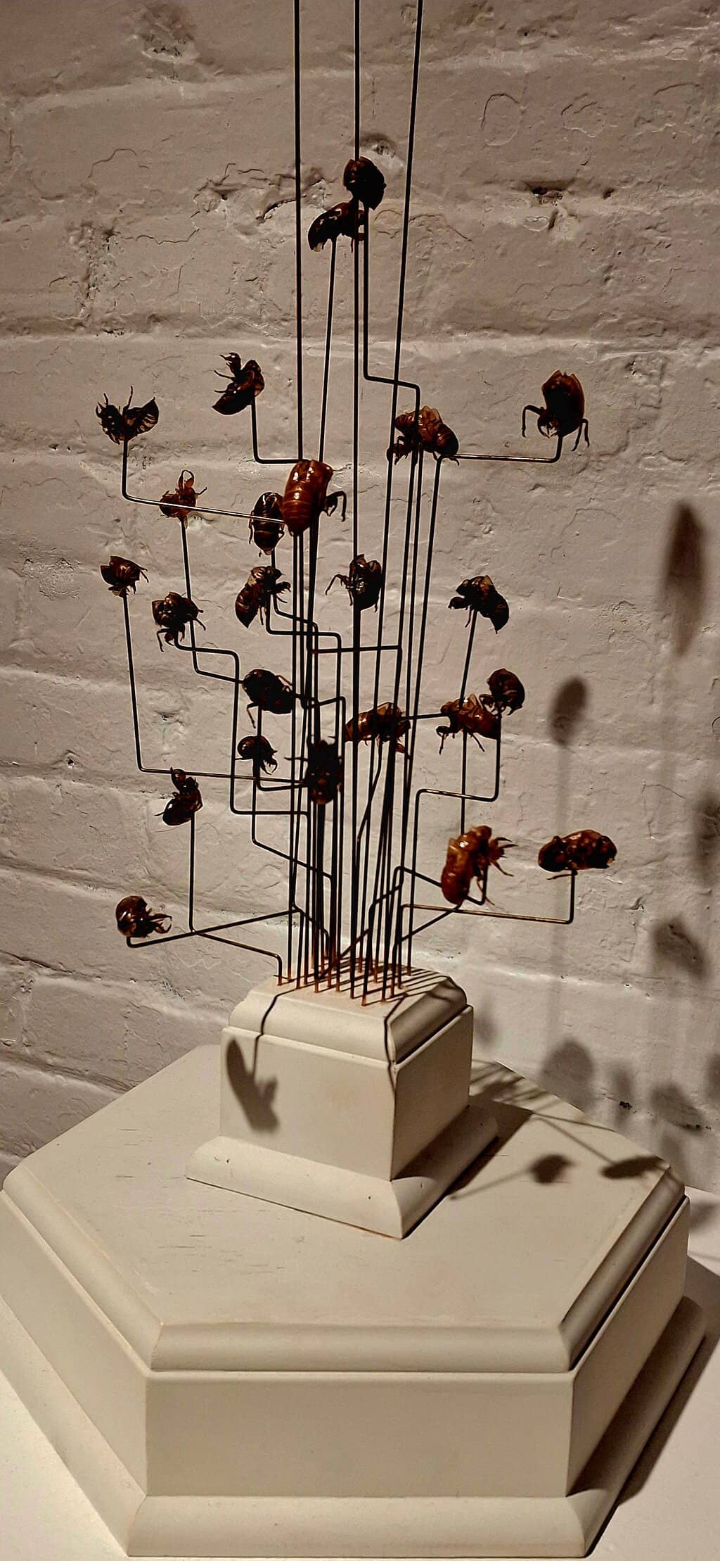 Museum Plaza Art Cubes