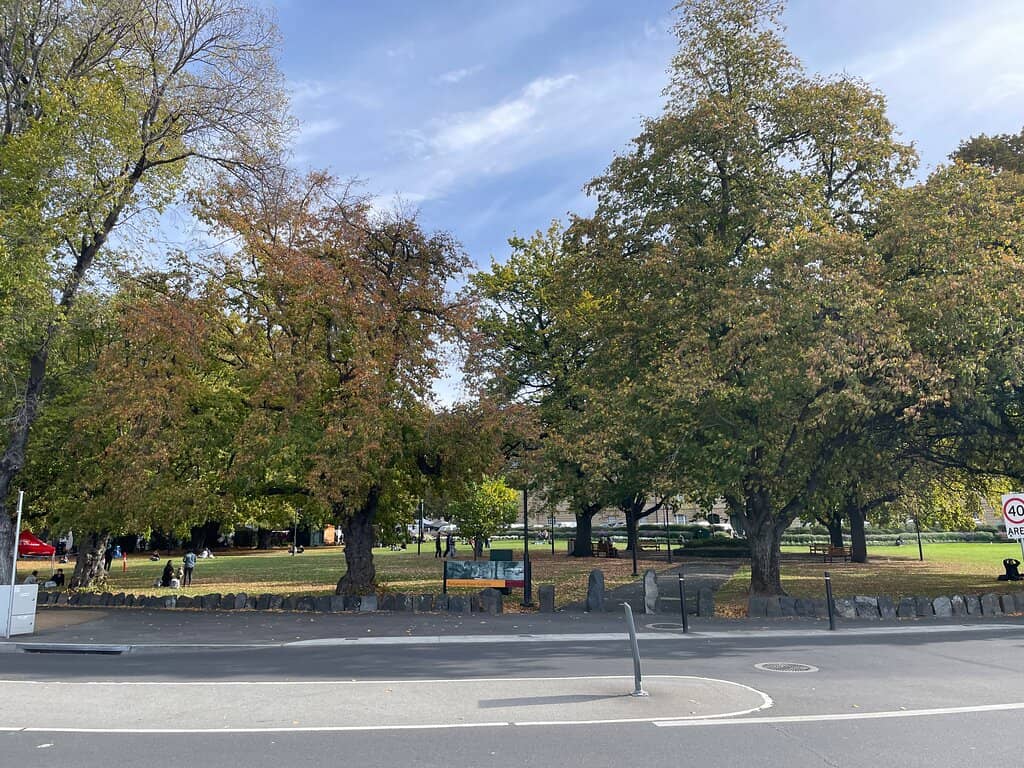 Winter Flower Displays