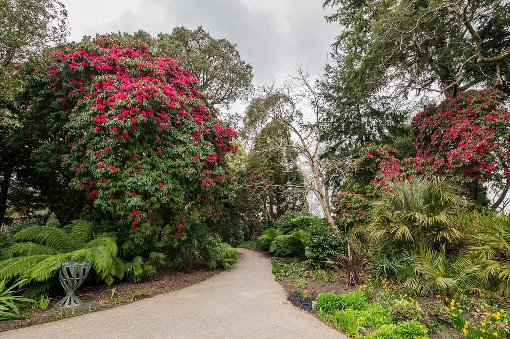 Expansive Gardens