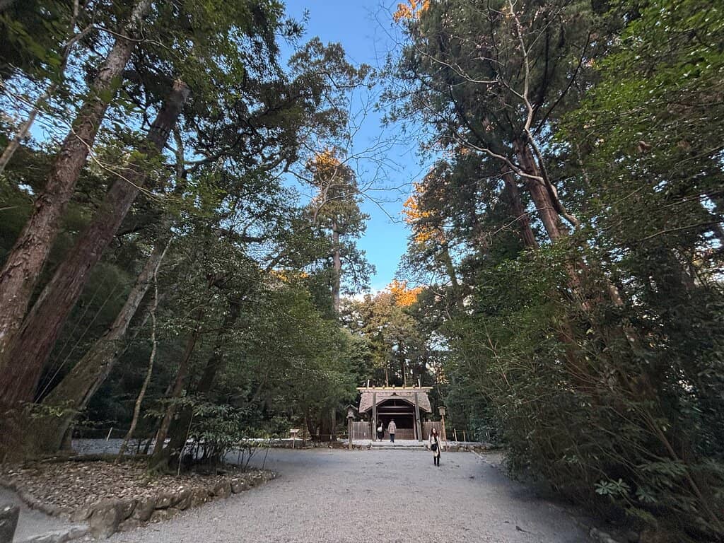 Torii Gates