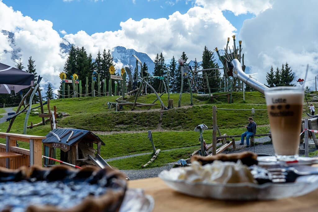 Panoramic Alpine Views