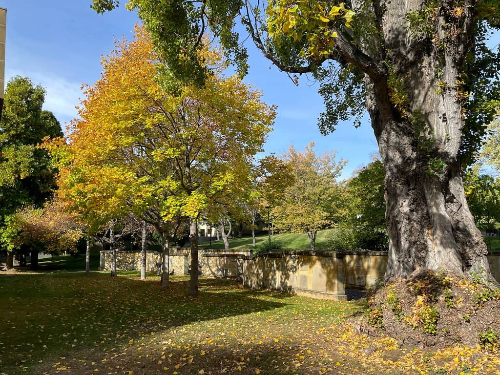 Rotunda and Gardens