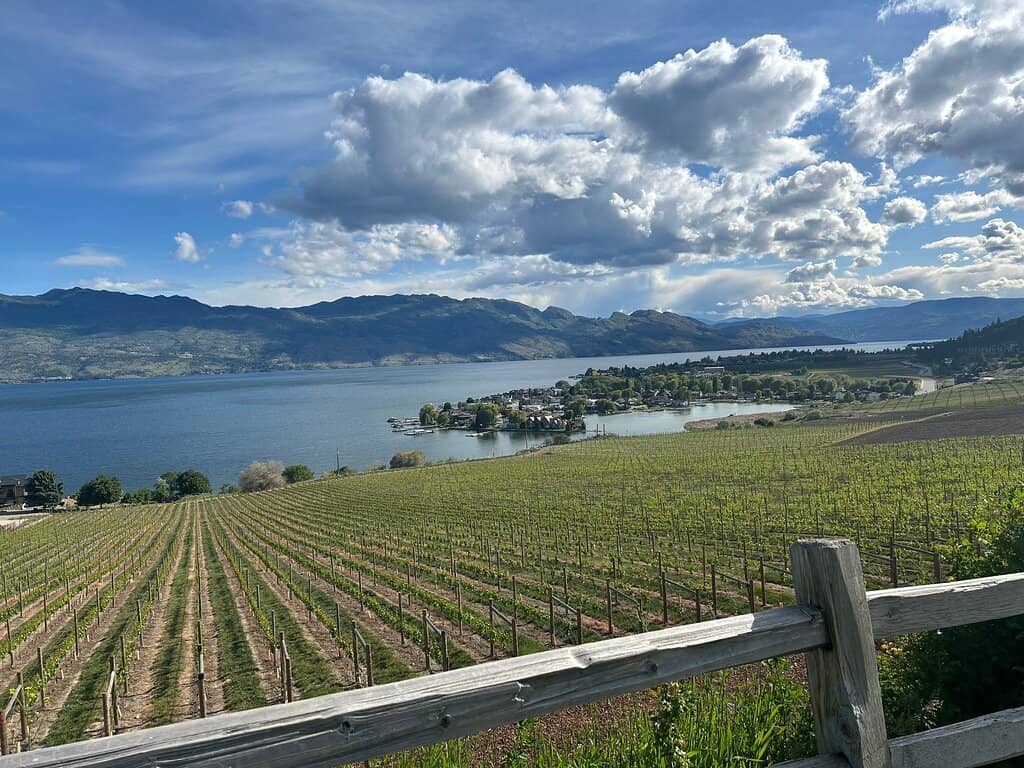 Reserve Wine Tasting