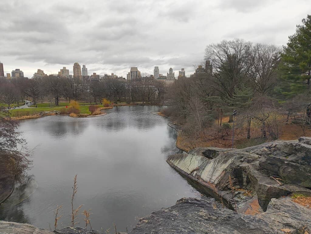 Turtle Pond Vista