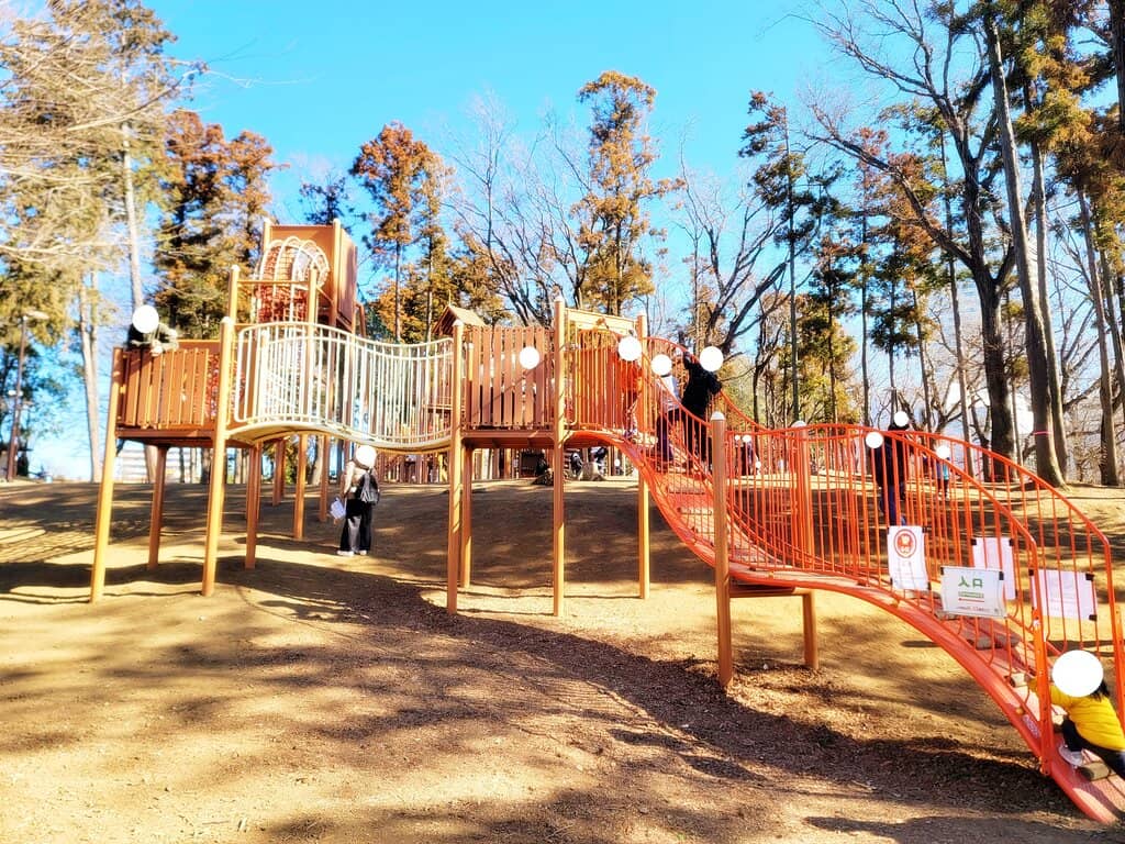 Open Lawn & Activities