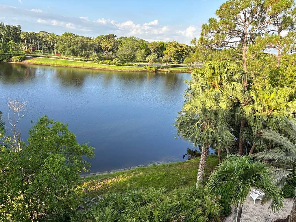 Must-Try Wisconsin Cheese Curds
