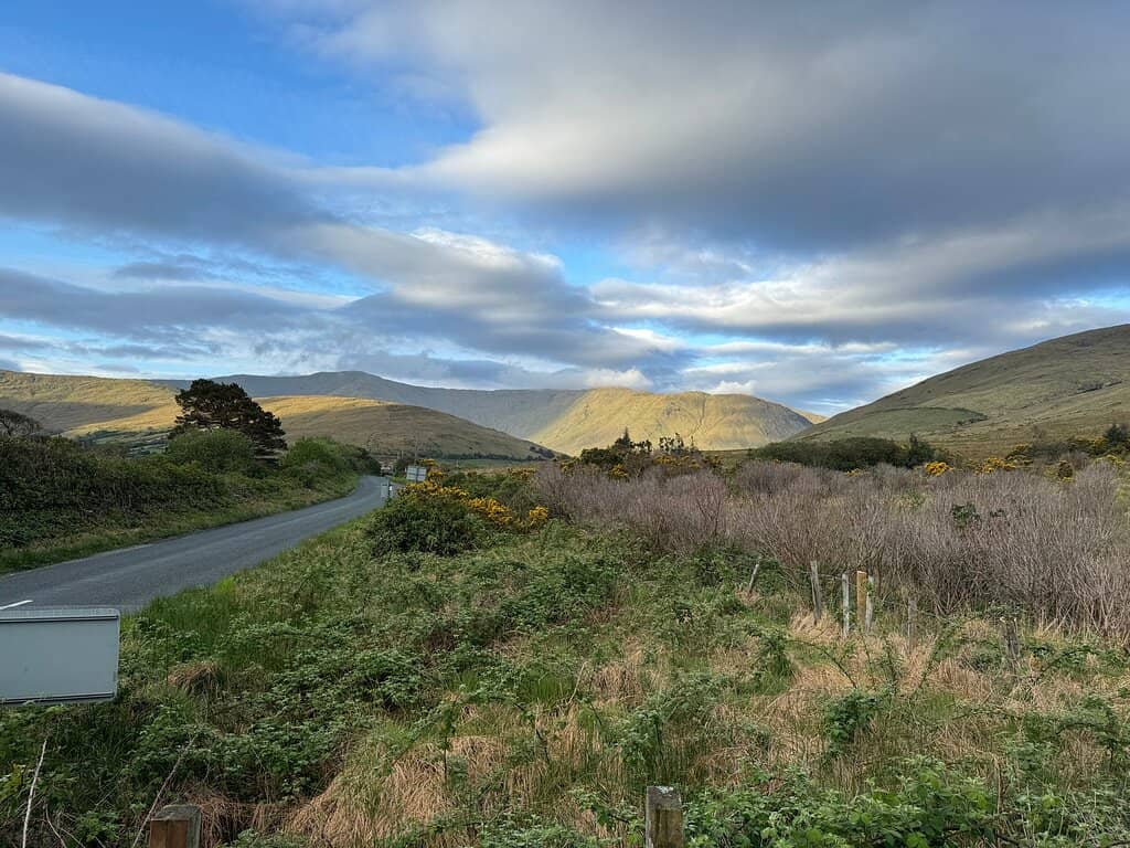 Scenic Roadside Views