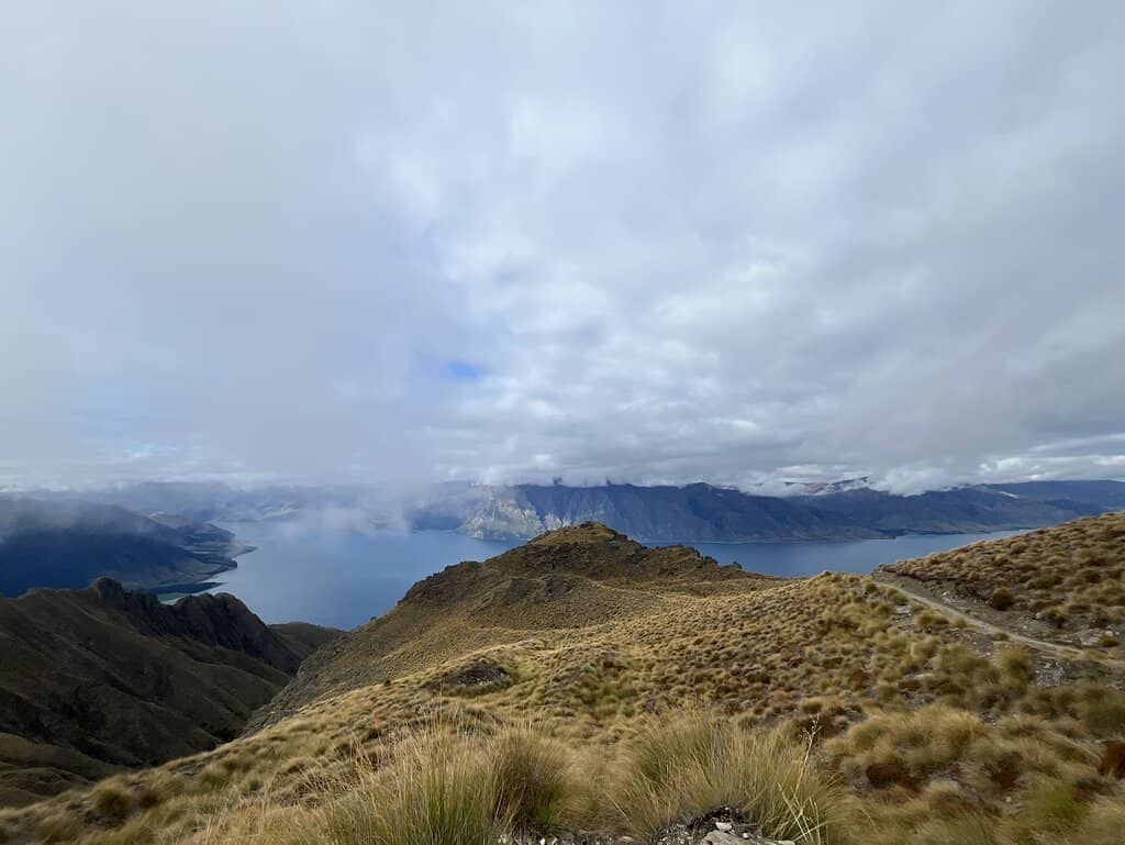 Vertical photo