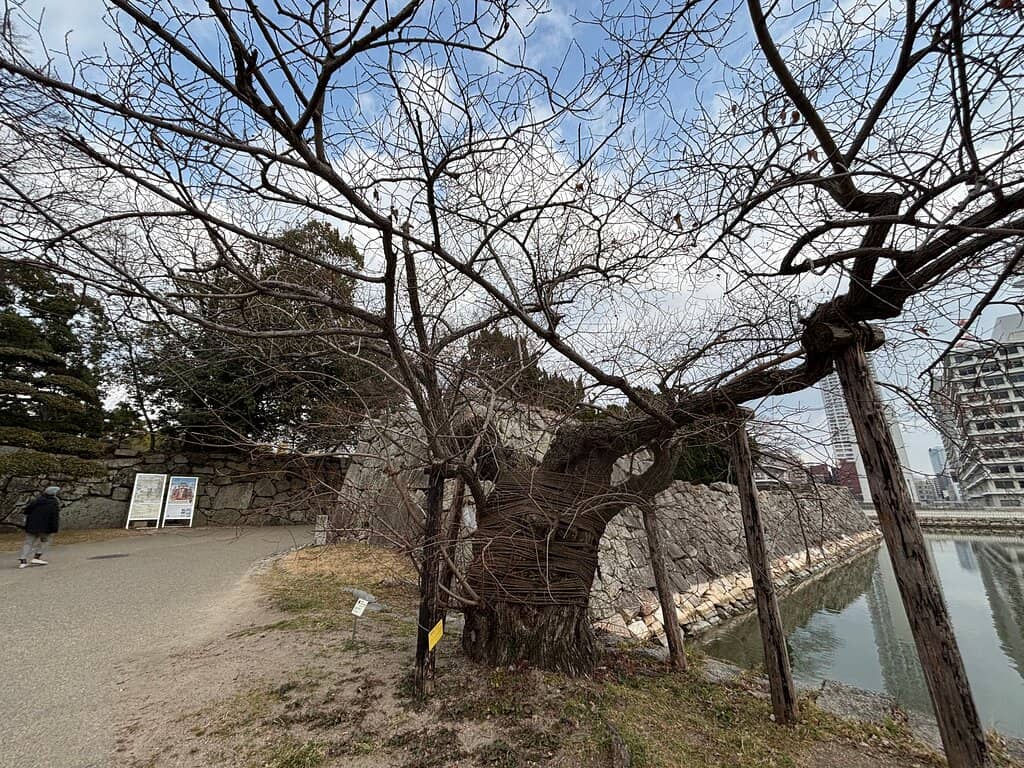 Remnants of Pagoda and Halls